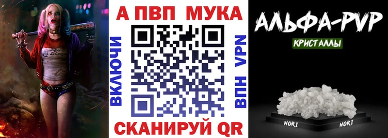 МЕГА ссылка  Бакал  А ПВП СК КРИС 