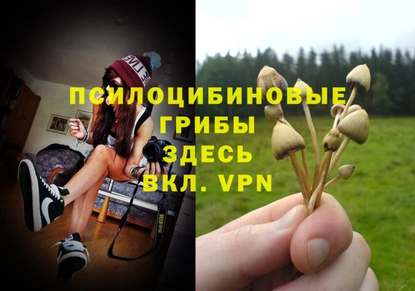 стаф Армянск