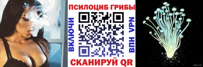 Псилоцибиновые грибы GOLDEN TEACHER hydra Бакал