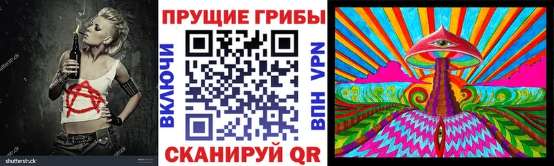 Псилоцибиновые грибы мицелий Бакал