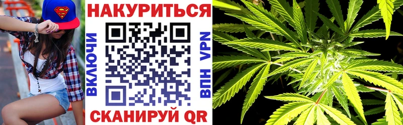Канабис сатива блэк спрут ССЫЛКА Бакал